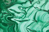 Flowery Polished Malachite Slab - DR Congo #360770-1